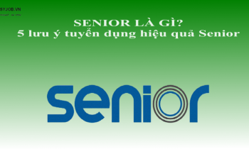 Senior là gì? 5 lưu ý tuyển dụng hiệu quả Senior